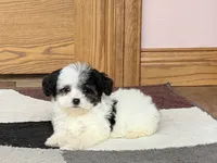 processed/468108b0-b5ce-4c2b-b609-98d2598c0f8a/listing/d9ca25ec-54b2-4a79-a27a-713975de3c0f/c94c8cfd-3967-4be9-a36b-7991a6bf1e64