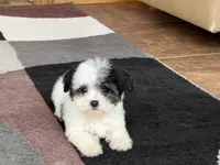 processed/468108b0-b5ce-4c2b-b609-98d2598c0f8a/listing/d9ca25ec-54b2-4a79-a27a-713975de3c0f/cad578fe-4800-4ff5-8352-b4d7b94a3a13