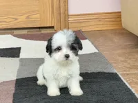 processed/468108b0-b5ce-4c2b-b609-98d2598c0f8a/listing/d9ca25ec-54b2-4a79-a27a-713975de3c0f/d8e0a796-4737-405b-8f9b-3fa2ffe15887