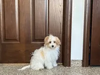 processed/468108b0-b5ce-4c2b-b609-98d2598c0f8a/listing/dbe92f77-473f-4da2-afc5-ef9048264c31/505f4f7e-5161-4737-9d8c-b0a3d0d001a5