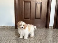 processed/468108b0-b5ce-4c2b-b609-98d2598c0f8a/listing/dbe92f77-473f-4da2-afc5-ef9048264c31/5e7af104-eb6b-40ce-b466-f1d5493894bb