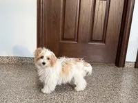 processed/468108b0-b5ce-4c2b-b609-98d2598c0f8a/listing/dbe92f77-473f-4da2-afc5-ef9048264c31/9bb5a3ba-5743-4775-b27e-ded465ad66ab