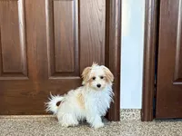 processed/468108b0-b5ce-4c2b-b609-98d2598c0f8a/listing/dbe92f77-473f-4da2-afc5-ef9048264c31/c38abfff-6829-4ca1-81e5-e8c78cfa0d65