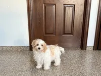 processed/468108b0-b5ce-4c2b-b609-98d2598c0f8a/listing/dbe92f77-473f-4da2-afc5-ef9048264c31/d7770697-ee76-4954-a45f-6ed09f4cf926