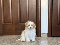 processed/468108b0-b5ce-4c2b-b609-98d2598c0f8a/listing/dbe92f77-473f-4da2-afc5-ef9048264c31/e6f031d4-888d-4fdf-9375-f2c2d50cecb9