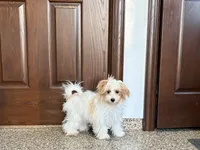 processed/468108b0-b5ce-4c2b-b609-98d2598c0f8a/listing/dbe92f77-473f-4da2-afc5-ef9048264c31/f21d4c41-6c7c-4e99-bd19-8593a8feca66