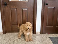 processed/468108b0-b5ce-4c2b-b609-98d2598c0f8a/listing/e9384029-a150-4def-9204-e5480f86d0be/1e424605-3eb1-4985-ab4e-3e020aa493ad