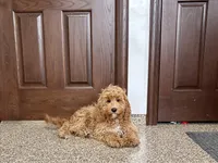 processed/468108b0-b5ce-4c2b-b609-98d2598c0f8a/listing/e9384029-a150-4def-9204-e5480f86d0be/475d85e9-4bdc-4415-a4f4-e0c1620578c7