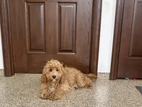 processed/468108b0-b5ce-4c2b-b609-98d2598c0f8a/listing/e9384029-a150-4def-9204-e5480f86d0be/56de6778-bae2-42ac-bdf8-a52c1bf97a11