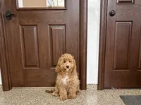 processed/468108b0-b5ce-4c2b-b609-98d2598c0f8a/listing/e9384029-a150-4def-9204-e5480f86d0be/69aed9dd-a8fa-4083-9223-7a4c7c862bae