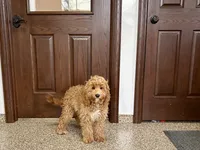 processed/468108b0-b5ce-4c2b-b609-98d2598c0f8a/listing/e9384029-a150-4def-9204-e5480f86d0be/a40350cd-c8f9-4847-bfad-ba7444b0882b