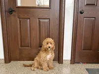 processed/468108b0-b5ce-4c2b-b609-98d2598c0f8a/listing/e9384029-a150-4def-9204-e5480f86d0be/e362ad8e-97f8-47c6-9910-cdaed9ea21a0