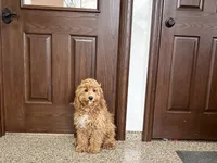 processed/468108b0-b5ce-4c2b-b609-98d2598c0f8a/listing/e9384029-a150-4def-9204-e5480f86d0be/e8913d92-e0f4-4576-afe6-b5742983b236