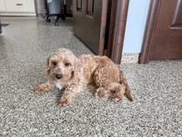 processed/468108b0-b5ce-4c2b-b609-98d2598c0f8a/listing/f017c02d-aaf2-4abb-9e33-af436e8e10aa/0a96159d-05cd-49fa-82f9-34b4a0b08a3e