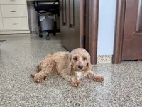 processed/468108b0-b5ce-4c2b-b609-98d2598c0f8a/listing/f017c02d-aaf2-4abb-9e33-af436e8e10aa/1ef3cd41-761e-456e-b67b-3d89cebf289f