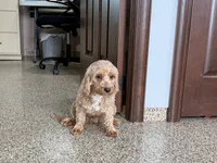 processed/468108b0-b5ce-4c2b-b609-98d2598c0f8a/listing/f017c02d-aaf2-4abb-9e33-af436e8e10aa/80134aa2-9a15-4110-b007-02999d7931df