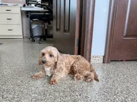 processed/468108b0-b5ce-4c2b-b609-98d2598c0f8a/listing/f017c02d-aaf2-4abb-9e33-af436e8e10aa/87e3561b-2d5e-4d2a-970d-bbf3d7058770