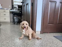 processed/468108b0-b5ce-4c2b-b609-98d2598c0f8a/listing/f017c02d-aaf2-4abb-9e33-af436e8e10aa/d9a949c4-bdf6-4a11-bb2c-e1195a3983a2