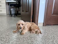 processed/468108b0-b5ce-4c2b-b609-98d2598c0f8a/listing/f017c02d-aaf2-4abb-9e33-af436e8e10aa/e9c42057-7bc6-45c4-8fbe-03bdf31e5de3