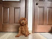 processed/468108b0-b5ce-4c2b-b609-98d2598c0f8a/listing/f46e4c15-b546-4ee0-9986-25b962e490a0/1a0c2fb2-802f-4d3d-ab2f-0b64567602e3