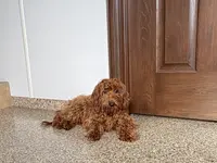 processed/468108b0-b5ce-4c2b-b609-98d2598c0f8a/listing/f46e4c15-b546-4ee0-9986-25b962e490a0/c72ff78a-96c8-4a24-85ce-6b55e81d042c