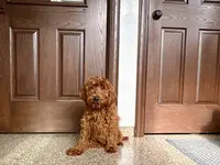 processed/468108b0-b5ce-4c2b-b609-98d2598c0f8a/listing/f46e4c15-b546-4ee0-9986-25b962e490a0/d43dffb8-81f4-4dae-8325-b32ed25ad976