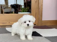 processed/468108b0-b5ce-4c2b-b609-98d2598c0f8a/listing/f4d30ad1-30cc-4efa-a53e-230b4114acf5/3f4c1ef0-de6f-4a13-80bd-62531ae8df25