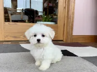 processed/468108b0-b5ce-4c2b-b609-98d2598c0f8a/listing/f4d30ad1-30cc-4efa-a53e-230b4114acf5/9179077e-e83e-46bb-b69f-b7fdf6700c3b