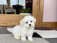 processed/468108b0-b5ce-4c2b-b609-98d2598c0f8a/listing/f4d30ad1-30cc-4efa-a53e-230b4114acf5/dbffc65c-fc9c-46a3-8459-e0bb29675c1a