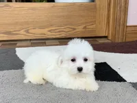 processed/468108b0-b5ce-4c2b-b609-98d2598c0f8a/listing/f4d30ad1-30cc-4efa-a53e-230b4114acf5/f884cc87-19e3-4710-a84c-cdb6df84d7dc