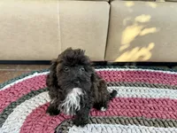 processed/468108b0-b5ce-4c2b-b609-98d2598c0f8a/listing/f920c76b-c696-47de-b30a-f472deea1279/077a7c8d-83ee-403d-a044-ee29e62b81b9