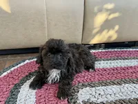 processed/468108b0-b5ce-4c2b-b609-98d2598c0f8a/listing/f920c76b-c696-47de-b30a-f472deea1279/30199ada-44a2-4566-846f-68269d525b7b