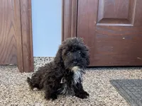 processed/468108b0-b5ce-4c2b-b609-98d2598c0f8a/listing/f920c76b-c696-47de-b30a-f472deea1279/59617e5d-012d-415b-9080-1f2e11dd5a61