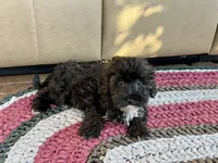 processed/468108b0-b5ce-4c2b-b609-98d2598c0f8a/listing/f920c76b-c696-47de-b30a-f472deea1279/6c78b871-a773-4bf9-9072-832f40a8f5f6