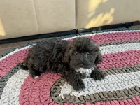 processed/468108b0-b5ce-4c2b-b609-98d2598c0f8a/listing/f920c76b-c696-47de-b30a-f472deea1279/acbd389c-51aa-4c4e-87ea-1efc46b44b08