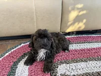 processed/468108b0-b5ce-4c2b-b609-98d2598c0f8a/listing/f920c76b-c696-47de-b30a-f472deea1279/f91d1e59-fe86-420f-b233-f19075540852