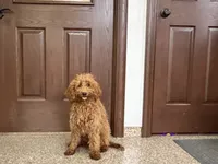 processed/468108b0-b5ce-4c2b-b609-98d2598c0f8a/listing/fd57d4d2-ac29-490c-a7b8-7d895c0f7a21/77f4aaf6-cffd-4837-8cfc-2a4b7f94c4b9