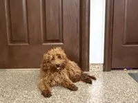 processed/468108b0-b5ce-4c2b-b609-98d2598c0f8a/listing/fd57d4d2-ac29-490c-a7b8-7d895c0f7a21/780c1e28-5607-4b1f-ad93-bde842dcf312