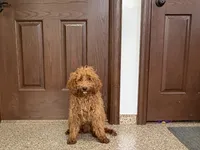 processed/468108b0-b5ce-4c2b-b609-98d2598c0f8a/listing/fd57d4d2-ac29-490c-a7b8-7d895c0f7a21/b0399d14-ae5a-4a39-8f90-8a65097210c5