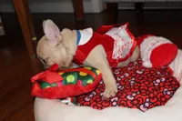 processed/468bd883-c52f-49df-bf5c-b01129c879a8/listing/d0cd69ac-8f0f-4a48-bd7d-b27ac014924c/2898c186-eeab-439c-9dbe-6ea5ec43edfd