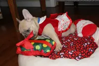 processed/468bd883-c52f-49df-bf5c-b01129c879a8/listing/d0cd69ac-8f0f-4a48-bd7d-b27ac014924c/414c77f4-07ad-481a-a0d8-0cb2e1ecef64