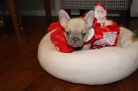 processed/468bd883-c52f-49df-bf5c-b01129c879a8/listing/d0cd69ac-8f0f-4a48-bd7d-b27ac014924c/d462b111-cdd1-465d-b773-f32daa36cee7