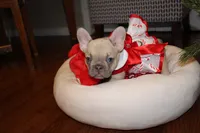 processed/468bd883-c52f-49df-bf5c-b01129c879a8/listing/d0cd69ac-8f0f-4a48-bd7d-b27ac014924c/f8c90c9f-8e40-4388-964a-83753a8117c5