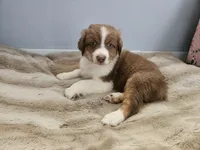 processed/468c6d7d-95ae-4b33-ab31-639b23afafb8/listing/37179c55-3f90-413b-b71b-e5a01b9e89ab/53cc02ff-f56b-470c-bd9c-f0066669df13