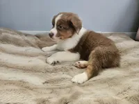 processed/468c6d7d-95ae-4b33-ab31-639b23afafb8/listing/37179c55-3f90-413b-b71b-e5a01b9e89ab/8205ec3e-181f-48b4-9164-ceda78043987