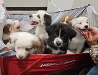 processed/468c6d7d-95ae-4b33-ab31-639b23afafb8/listing/990f9d77-f097-492f-8ced-1d70be28670c/35d1956f-e74a-43b1-9d21-b0f551b62e84