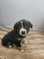 processed/468c6d7d-95ae-4b33-ab31-639b23afafb8/listing/990f9d77-f097-492f-8ced-1d70be28670c/a777bdbd-7201-4a91-8db6-9a48d004f398