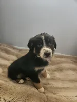 processed/468c6d7d-95ae-4b33-ab31-639b23afafb8/listing/990f9d77-f097-492f-8ced-1d70be28670c/b907f2e2-7a9c-42c6-8c76-a96be2054e2f