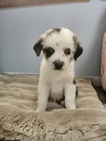 processed/468c6d7d-95ae-4b33-ab31-639b23afafb8/listing/9dde59ff-0962-4426-b397-9a5ec2ad0a44/4a2667fb-4a1b-44f6-8702-dc48a38496d9