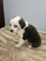 processed/468c6d7d-95ae-4b33-ab31-639b23afafb8/listing/9dde59ff-0962-4426-b397-9a5ec2ad0a44/c213f346-aaa2-4568-997a-1e311965a864